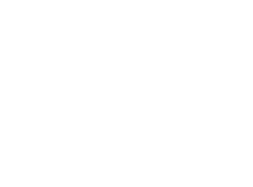 Leandro Santos Assessoria